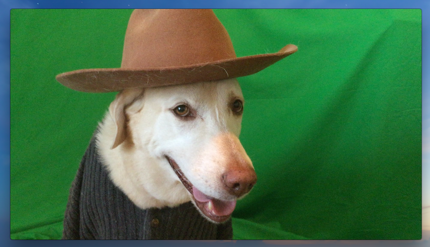 green screen